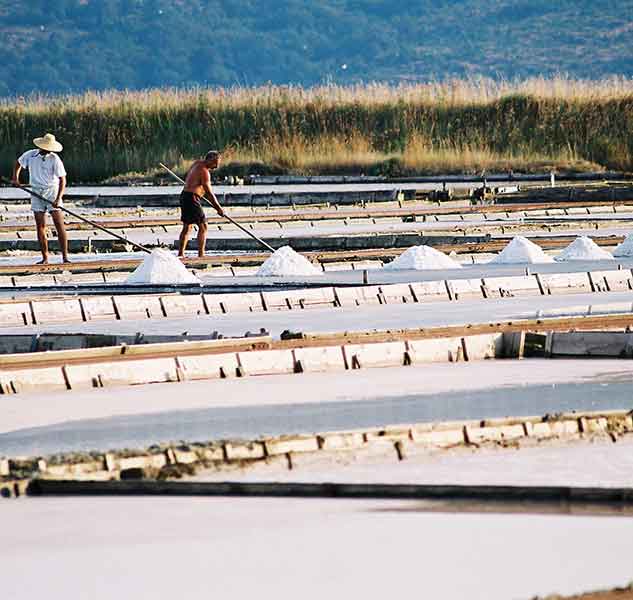 Salzernte in Salinenlandschaft.