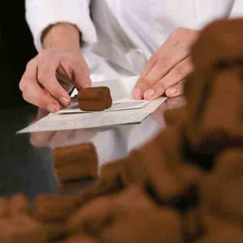 Handgefertigte Tartufi mit Kakaopulver bestäubt auf weißem Teller. Perfekte Pralinen für Feinschmecker und Schokoladenliebhaber.