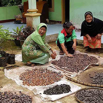 Frauen sortieren Nüsse auf Tüchern.
