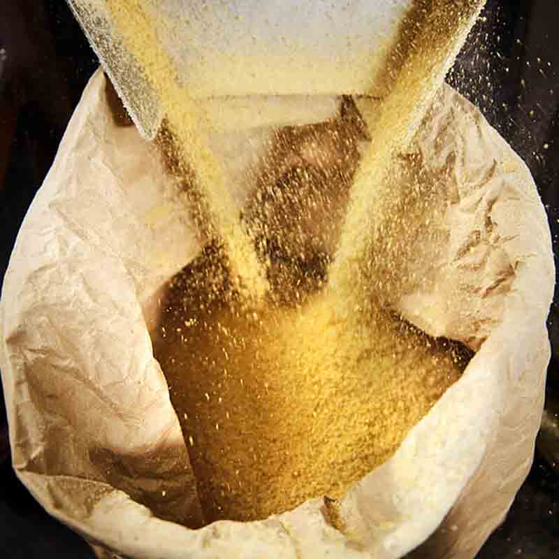 Senfkörner werden in einen Sack abgefüllt