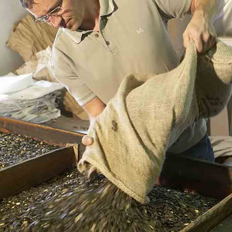 Mann schüttet Samen aus Sack auf Tisch.