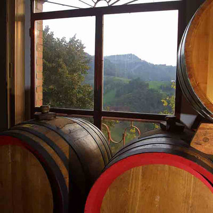 Fässer vor Fenster mit Landschaft.