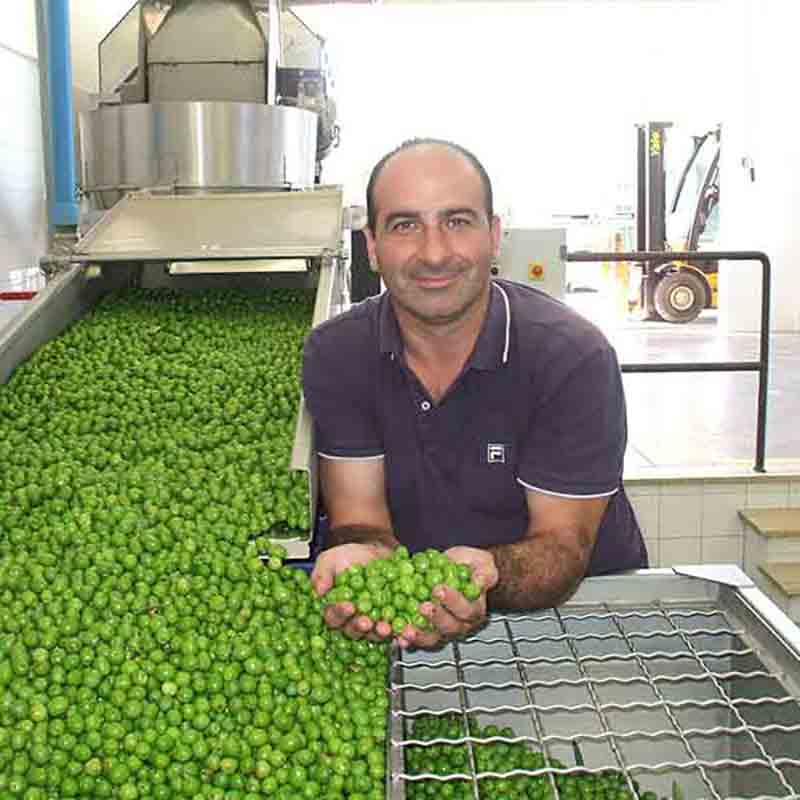 Quattrocciochi Superbo - Das Polyphenolreiche