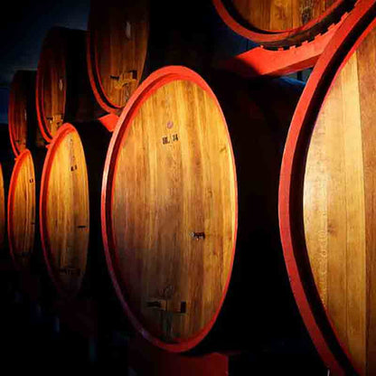 Holzfässer in einem dunklen Lagerraum, teilweise beleuchtet.