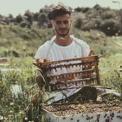 Eichenhonig aus Griechenland - Philomelia