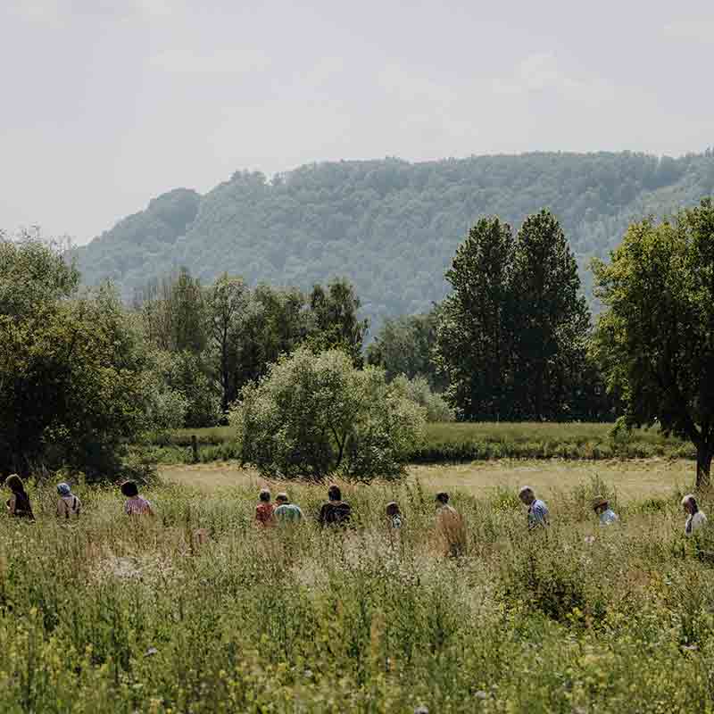 Menschen auf Wiese vor Hügeln.