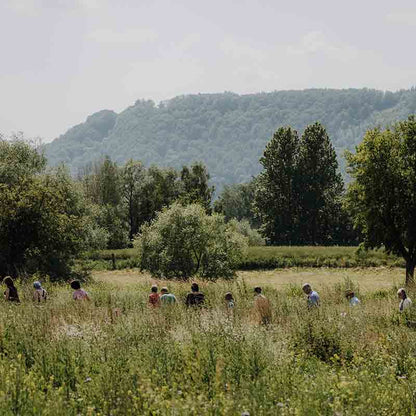 Menschen auf Wiese vor Hügeln.