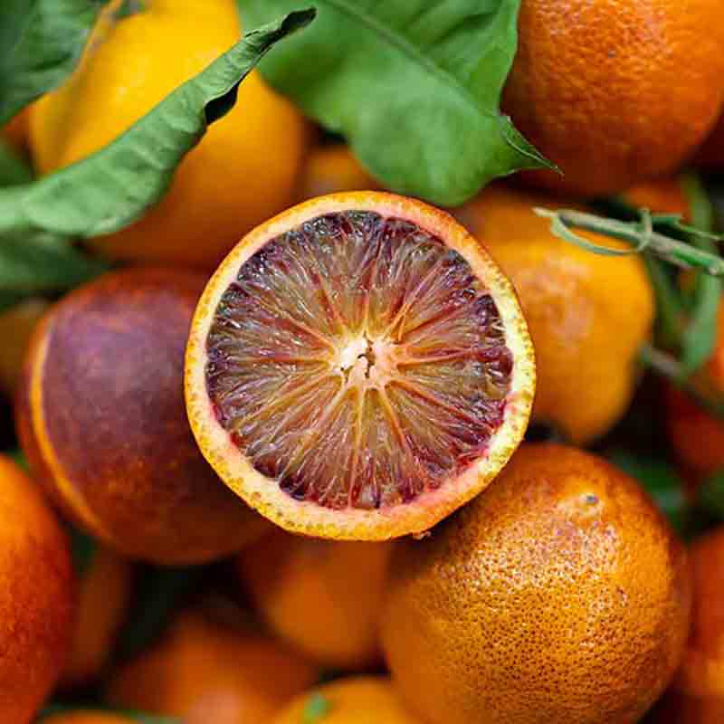 Blutorangen mit grünen Blättern.