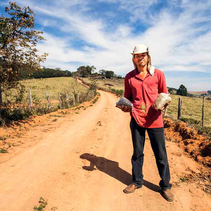 Ich kann nicht erkennen, was auf dem Bild ist.