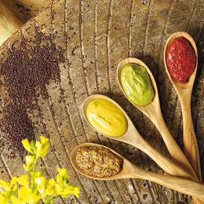 Vier Holzlöffel mit verschiedenen Senfsorten auf Holzuntergrund.