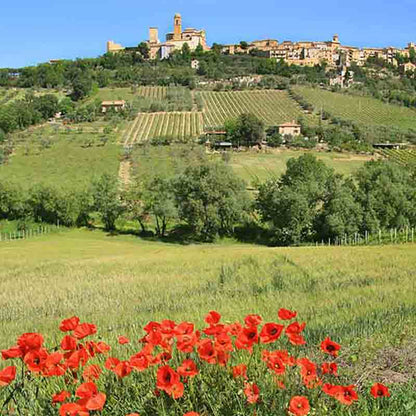 Landschaft mit Mohnblumen und Dorf.
