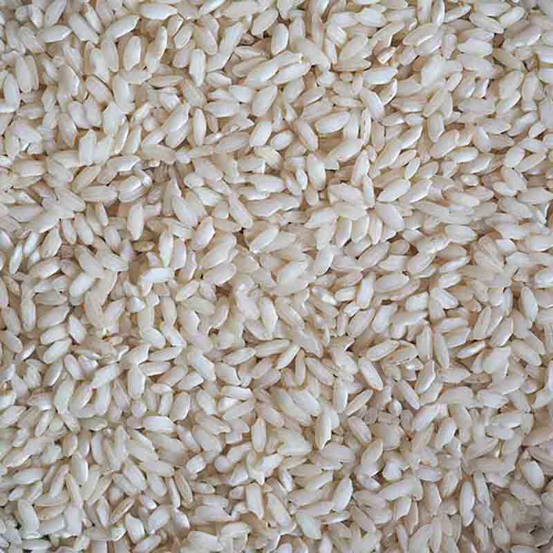 Carnaroli-Reis in Nahaufnahme, ungekocht, weiße Reiskörner.