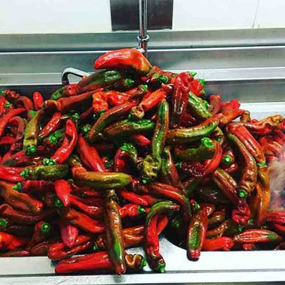 Rote und grüne Chilischoten.