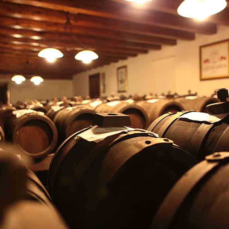 Weinfässer in einem Keller mit Holzdecke und Beleuchtung.