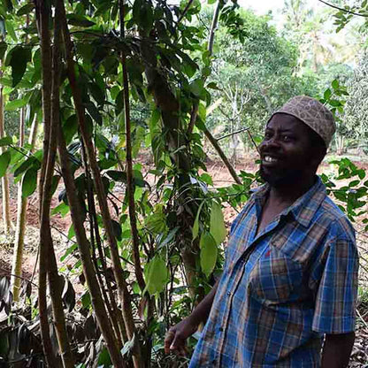 Ein Kleinbauer steht lächelnd neben Gewürzpflanzen. Soul Spice arbeitet eng und fair mit lokalen Kleinbauern zusammen.