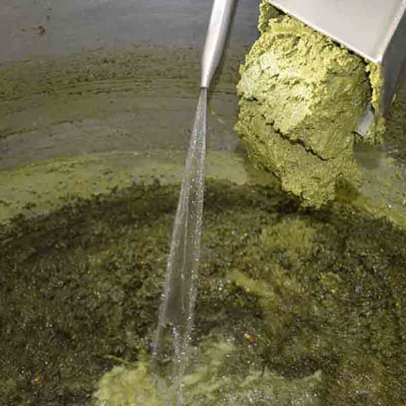 Frische Rohstoffe während der Verarbeitung zu hochwertigen Ölen.