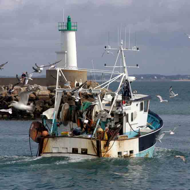 Fischkutter vor Leuchtturm und Möwen.