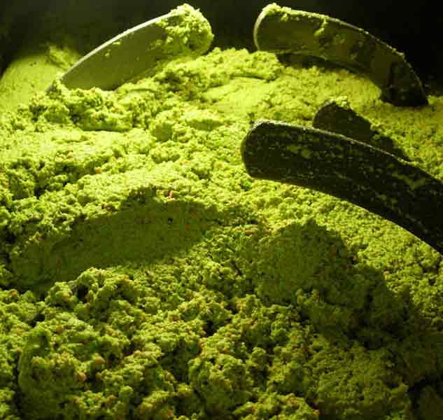 Grüne Olivenpaste in Verarbeitung.