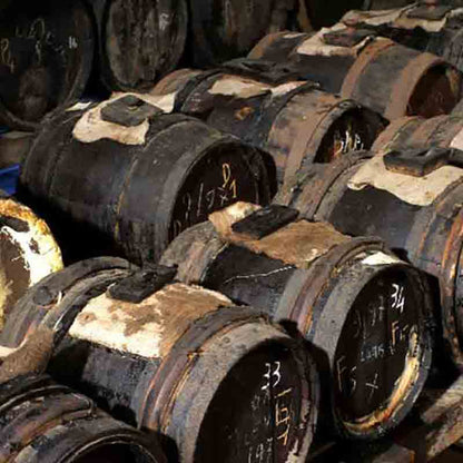 Alte Holzfässer zur Reifung von Aceto Balsamico di Modena in der Acetaia Giuseppe Giusti.