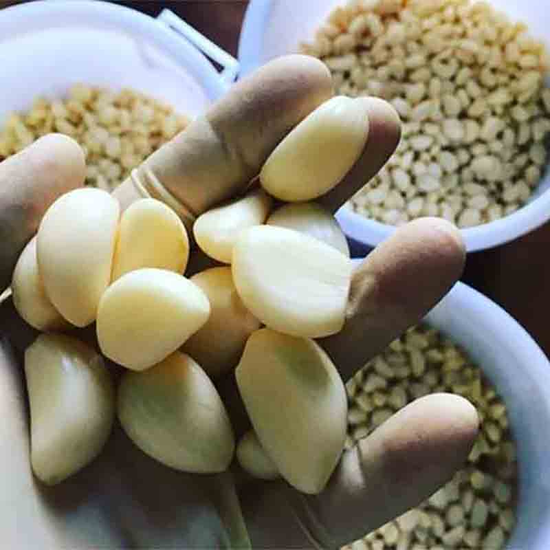 Hand hält geschälte Knoblauchzehen über Schalen mit Nüssen.