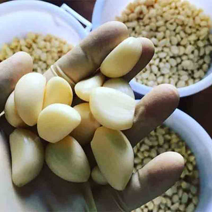 Hand hält geschälte Knoblauchzehen über Schalen mit Nüssen.