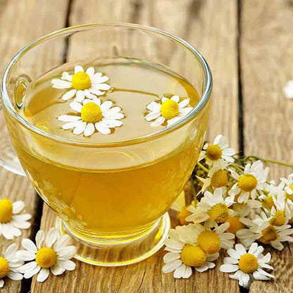 Kamillentee mit Blüten in Tasse.