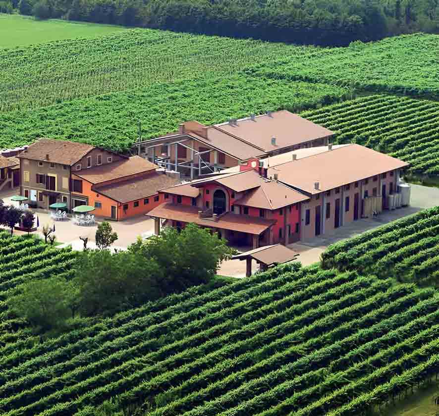 Weingut umgeben von Weinbergen und grüner Landschaft.