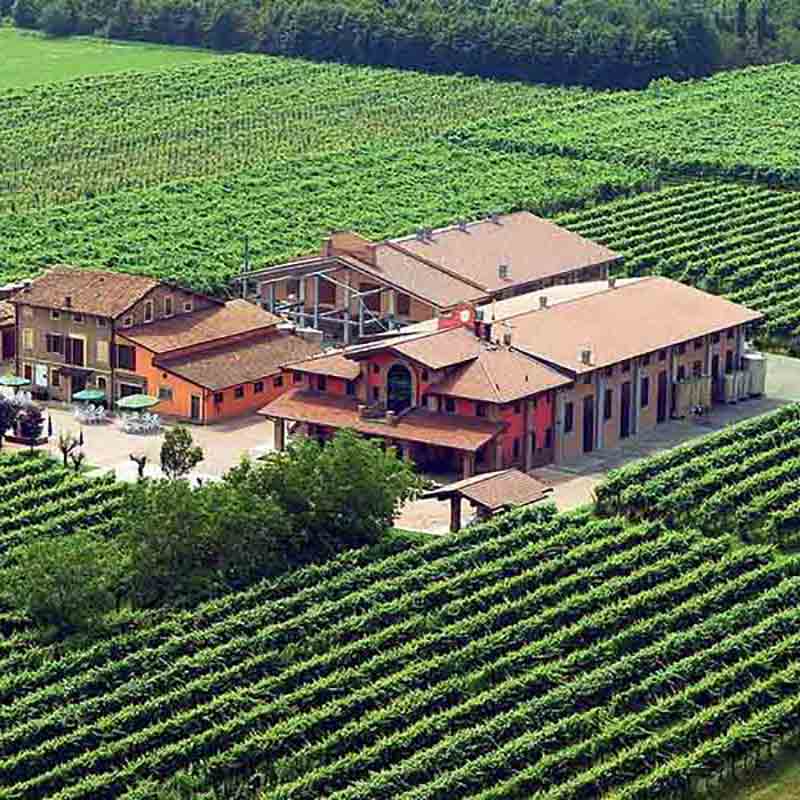 Die Acetaia Leonardi umgeben von regionalen Weinreben bei Modena