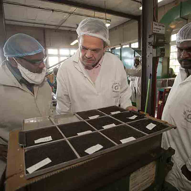 Personen inspizieren Olivenölproduktion.