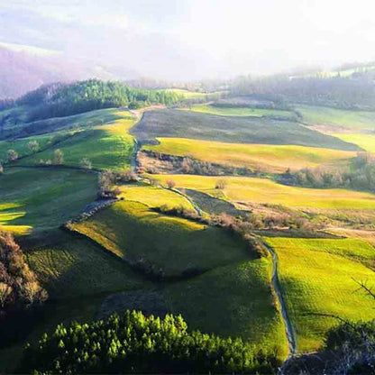 Hügelige Landschaft bei Sonnenaufgang.