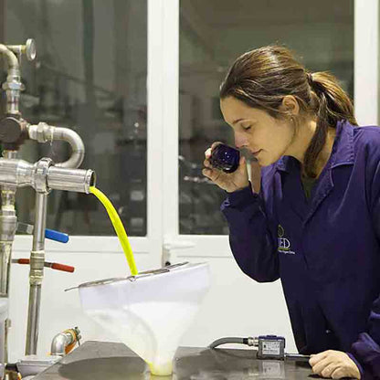 Person testet Olivenöl in O-MED Produktionsanlage.