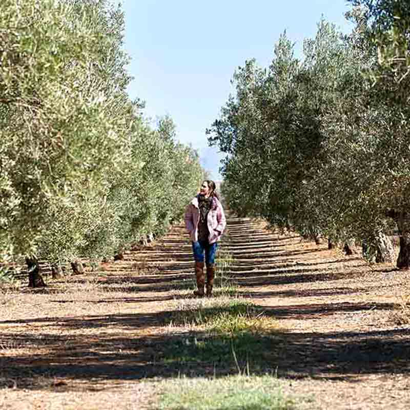 Paola Garcia läuft zwischen den Olivenbäumen.