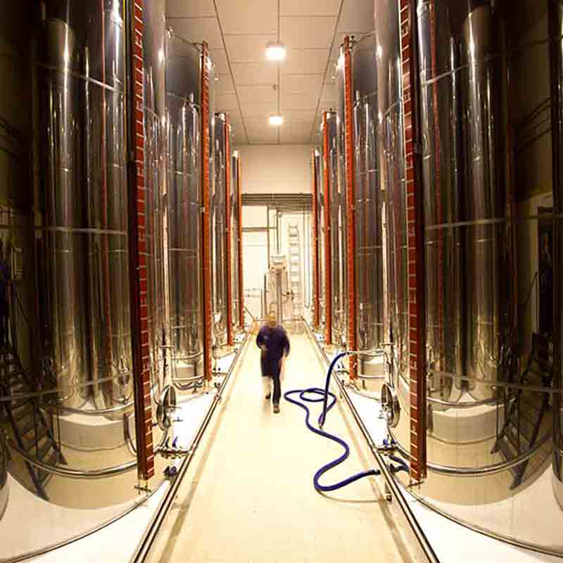 Moderne Produktionsanlage mit sauberen Zisternen, die das Olivenöl lagern.