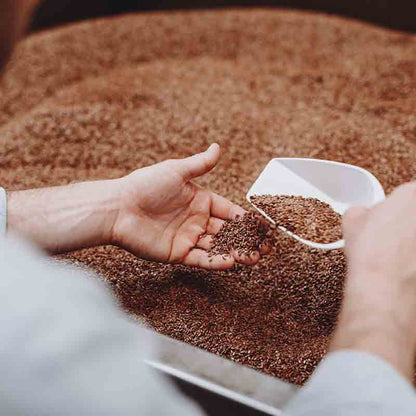 Person hält Leinsamen in der Hand mit Schaufel.