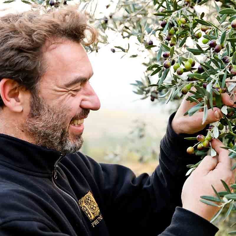 Bio-Olivenöl nativ extra - Pruneti - Toskana