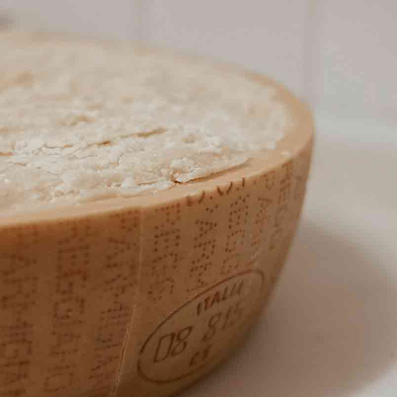 Parmesan-Laib mit Rinde.