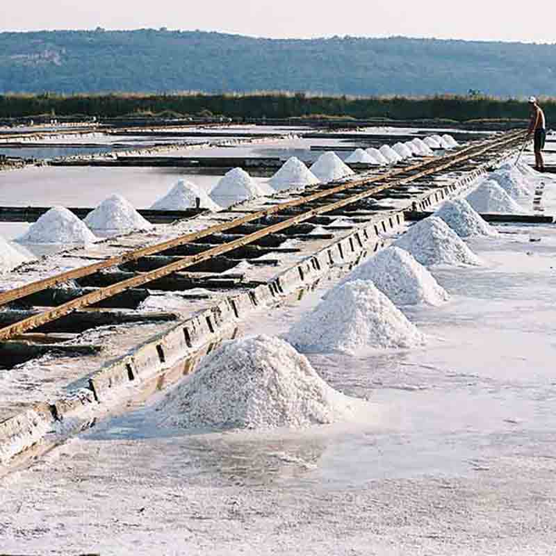 Salzernte im Naturschutzgebiet in Slowenien