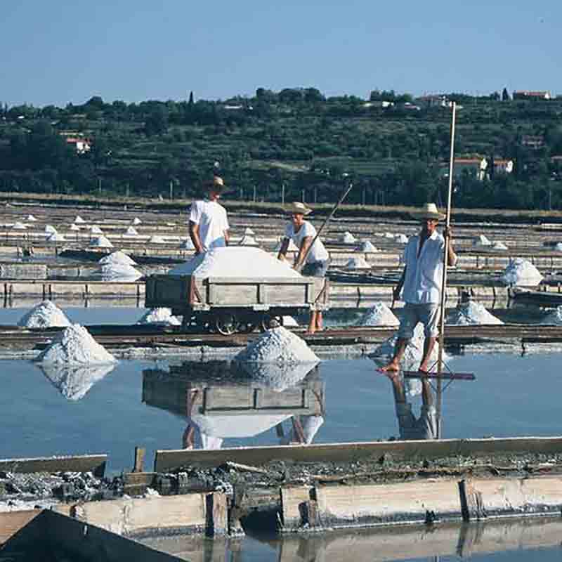 Das Premium Salz für Gourmets wird im Salzbecken von Hand geerntet