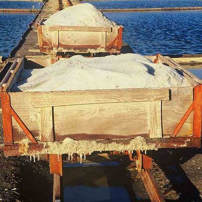 Geerntetes Salz der Piranske Soline in Wägen.