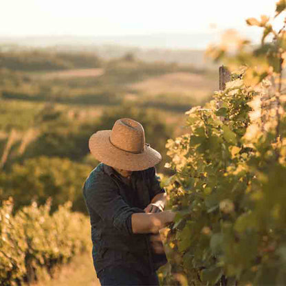 Person im Weinberg mit Hut.