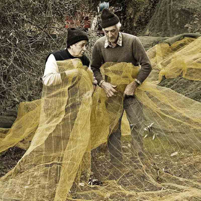Zwei Personen mit Olivennetzen.