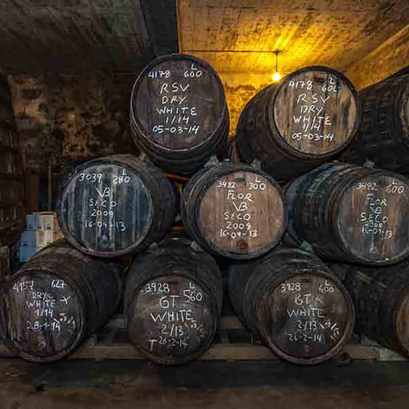 Weinfässer in einem Keller mit handgeschriebenen Beschriftungen.