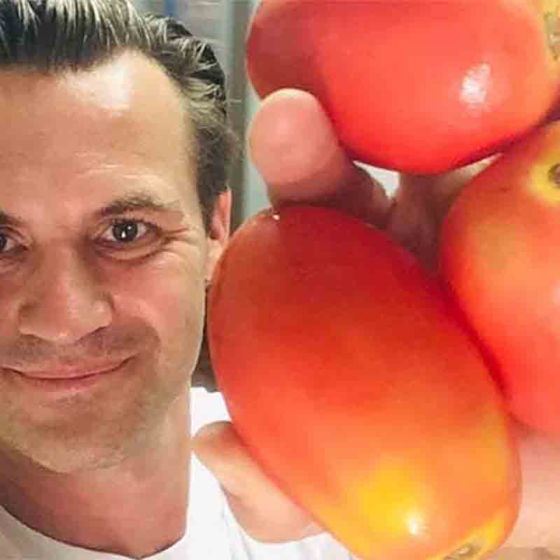 Mann hält frische Tomaten hoch.