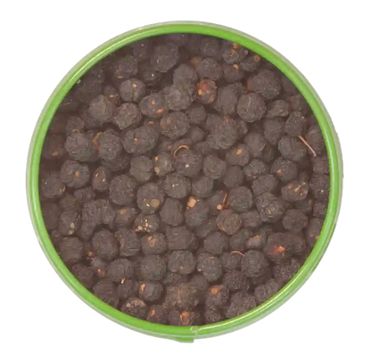 Blick auf die offene Gewürz-Dose mit Tasmanischem Pfeffer