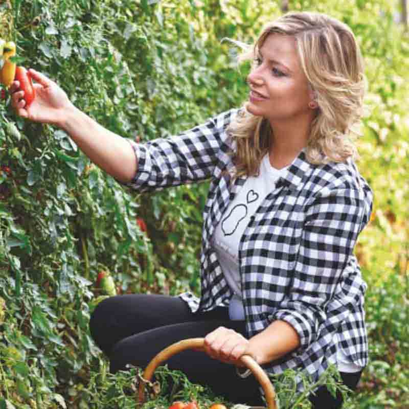 Diana von Italianavera pflückt San Marzano Tomaten vom Strauch.