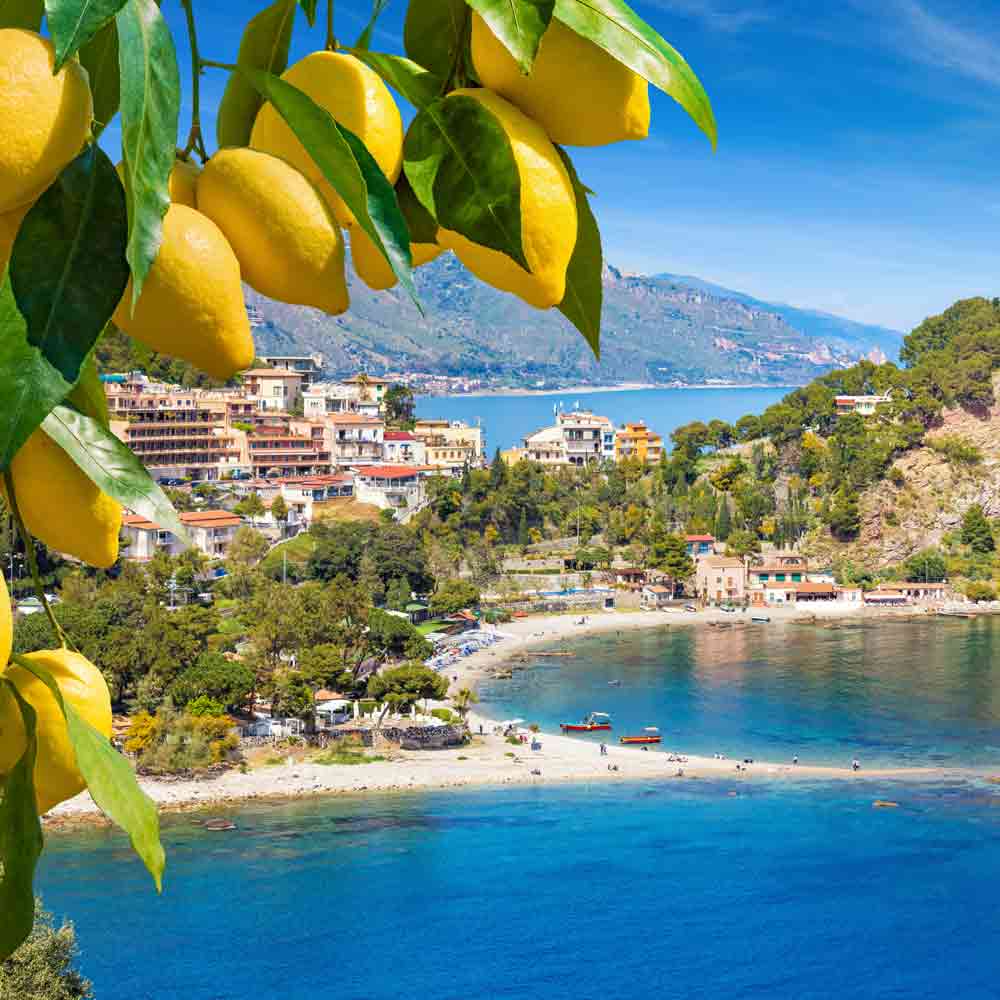 Zitronenbaum über Küstenlandschaft Siziliens.