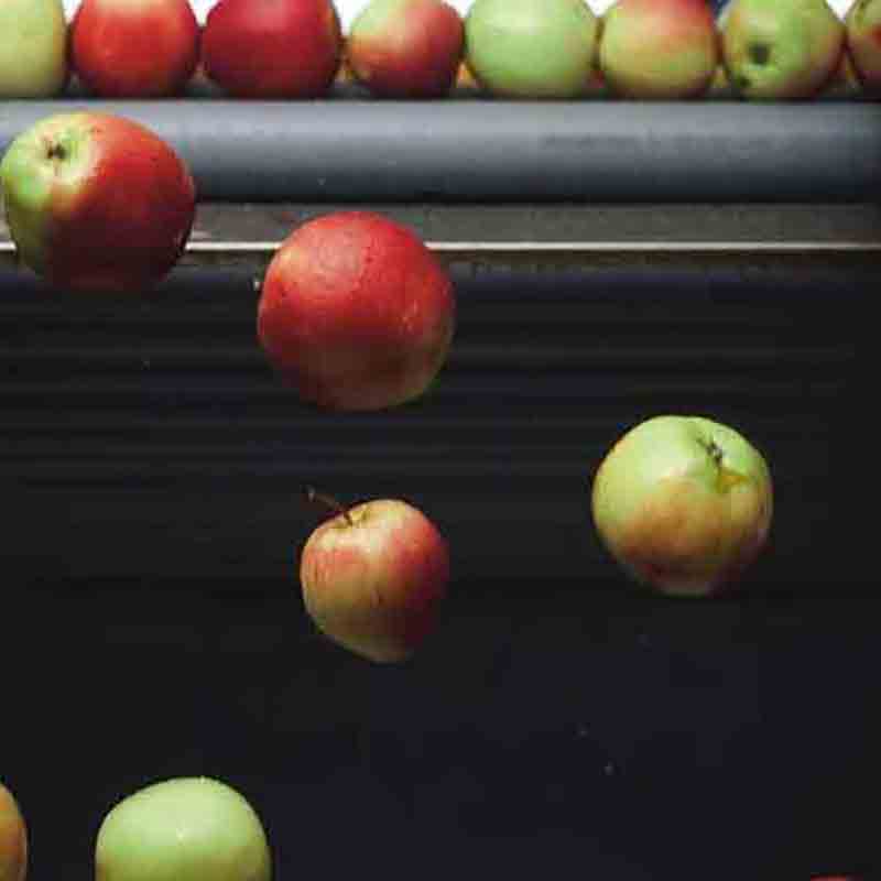 Äpfel in Sortiermaschine, Nahaufnahme.