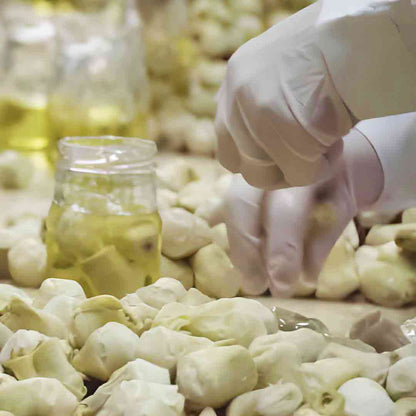 Hände füllen Artischocken in Gläser mit Olivenöl.