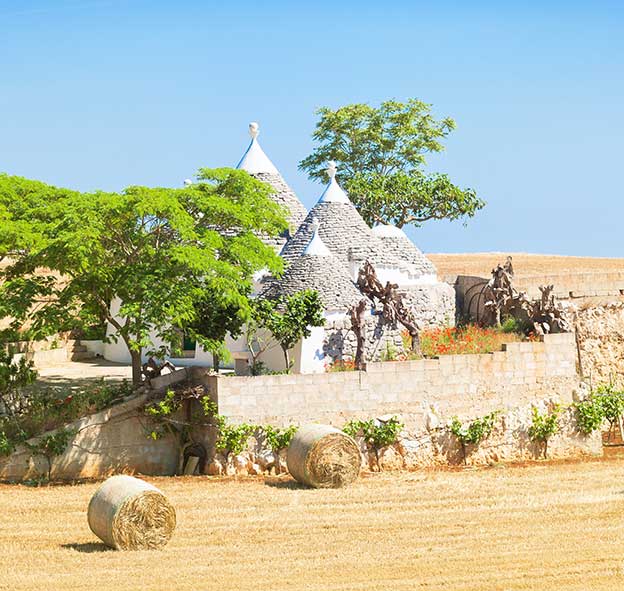 Trulli-Häuser in ländlicher Landschaft.