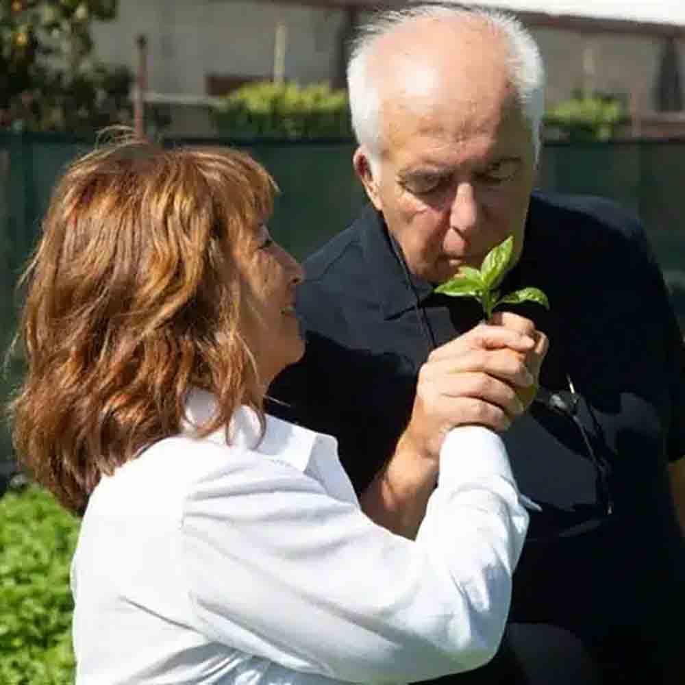 Zwei Personen riechen Basilikum.
